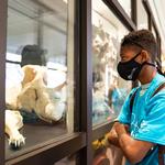 Record number of middle school students participate in health explorations camp